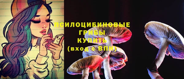 PSILOCYBIN Алзамай