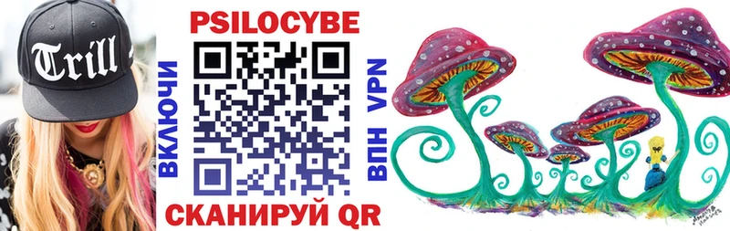 купить  цена  ОМГ ОМГ рабочий сайт  Галлюциногенные грибы Psilocybine cubensis  Зея 